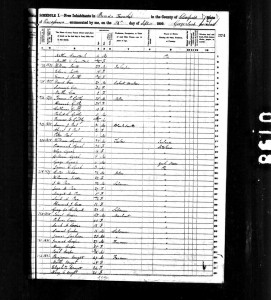 1850CensusPeter&parentsPA 1850 Census showing Peter Reel age 1