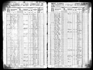 1865CensusPeterDrStills 1870 Census showing Peter Reel living with Dr. James M. Stills