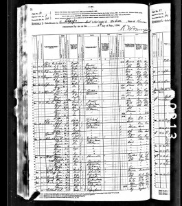 PAReel1880censuspoliceman 1880 Census showing Peter Reel as policeman